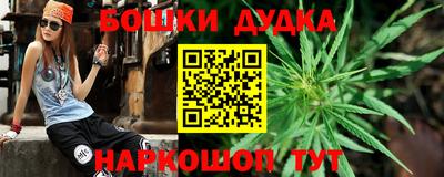 прущие грибы Обь