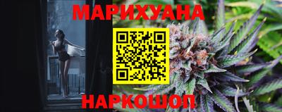 прущие грибы Обь