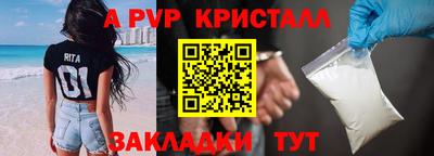 прущие грибы Обь
