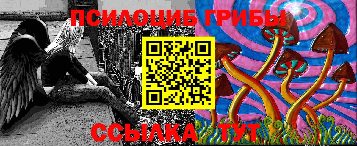 Галлюциногенные грибы прущие грибы  Вход с VPN  Сосновый Бор 