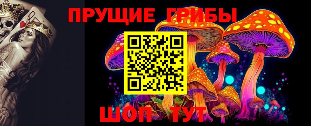 Галлюциногенные грибы MAGIC MUSHROOMS Сосновый Бор